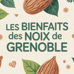 Bienfaits des noix de Grenoble, illustration stylisée avec coques et nutriments