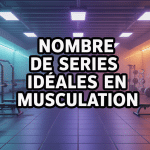 Combien de serie par groupe musculaire salle de sport moderne