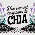 D où viennent les graines de chia illustration graines sauge