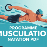 programme musculation pour natation pdf image vectorielle nageur exercices