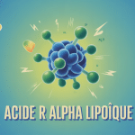 illustration acide r alpha lipoique métabolisme antioxydant