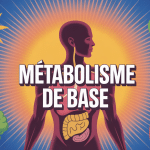 calcul du metabolisme de base mb en calories par jour schema energie nutrition