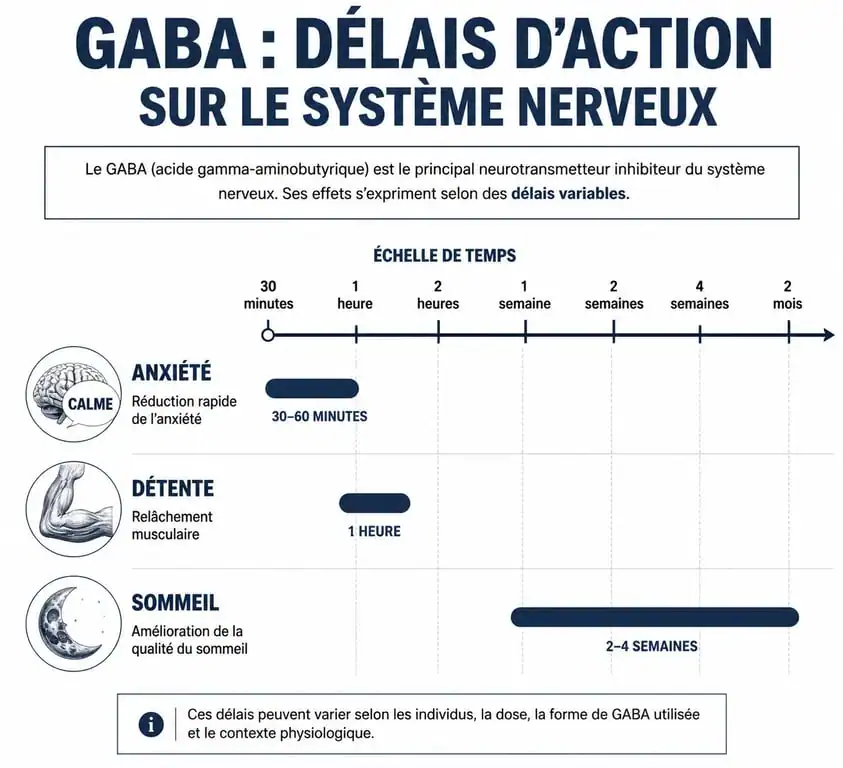 Infographie des délais d'action du GABA sur le stress, l'anxiété et le sommeil